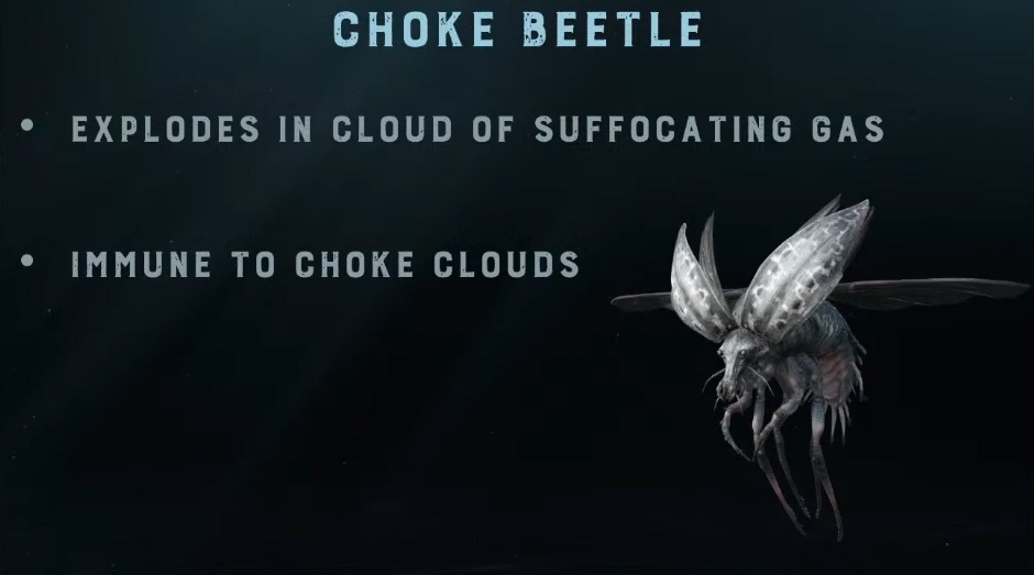 Choke-Beetle_1